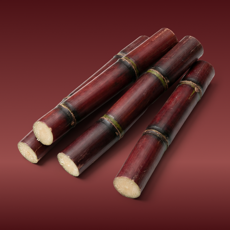 Red Sugar Cane