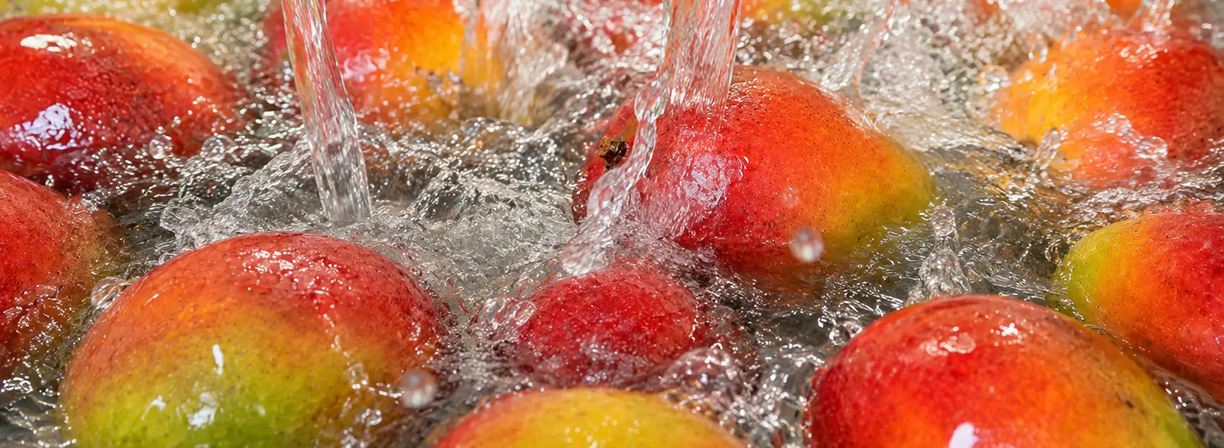 FOODS SAFETY